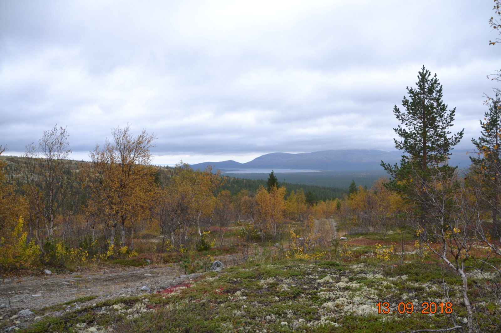 DSC_0238.JPG
