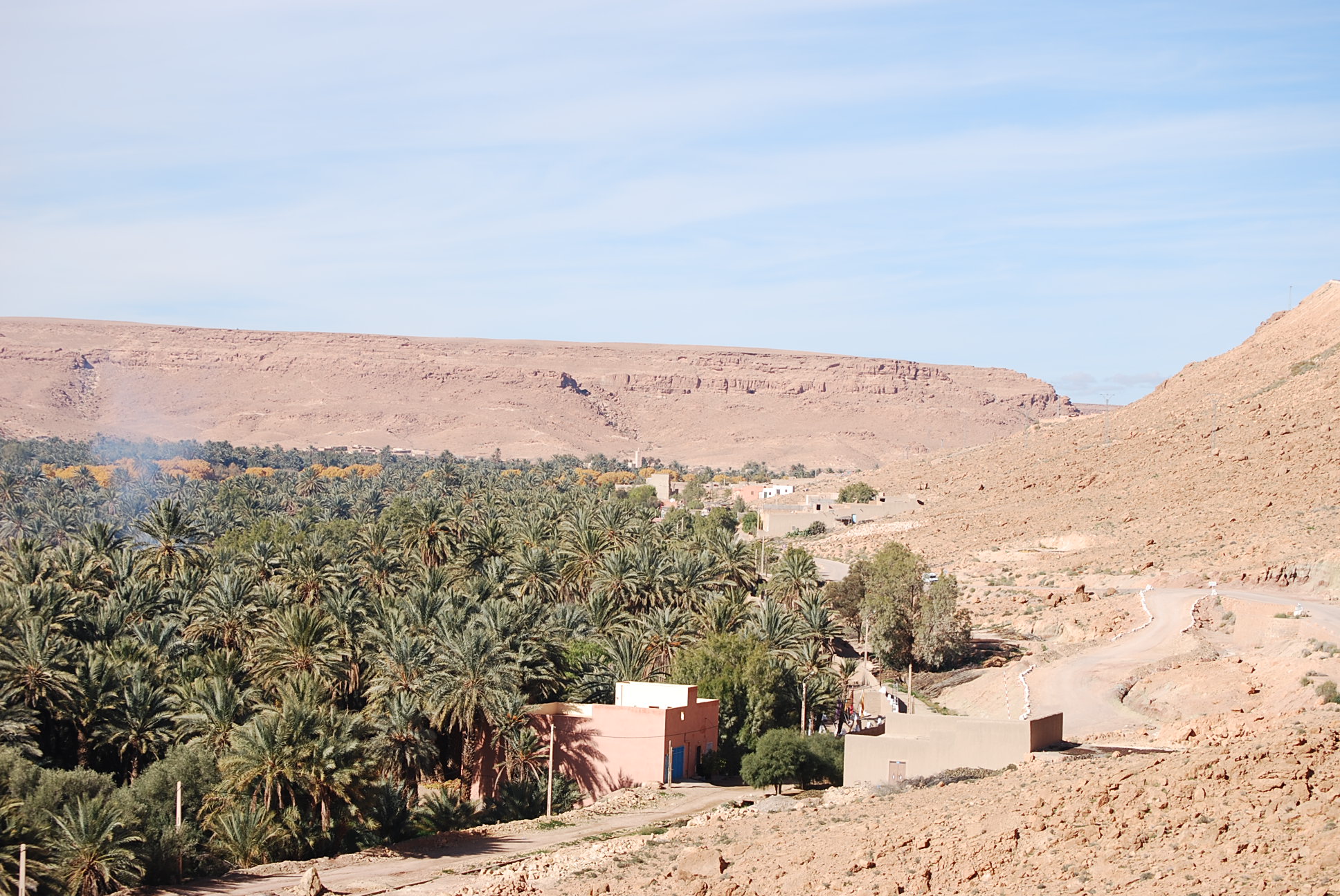DSC_0278.JPG