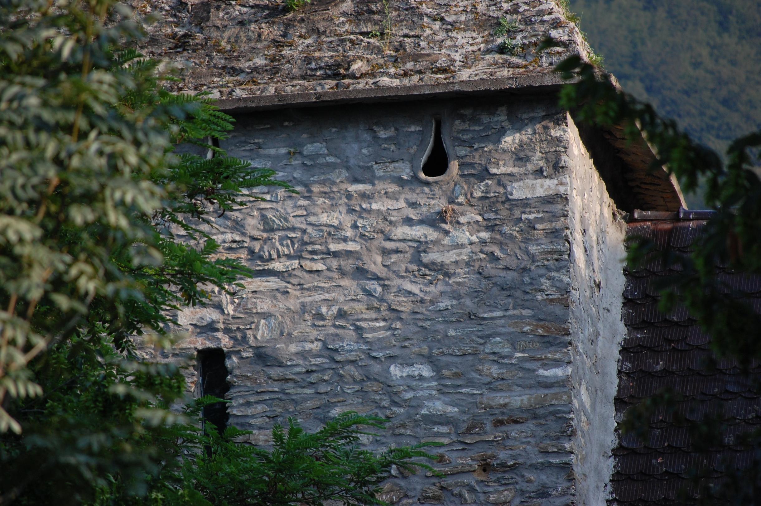 DSC_0284.jpg