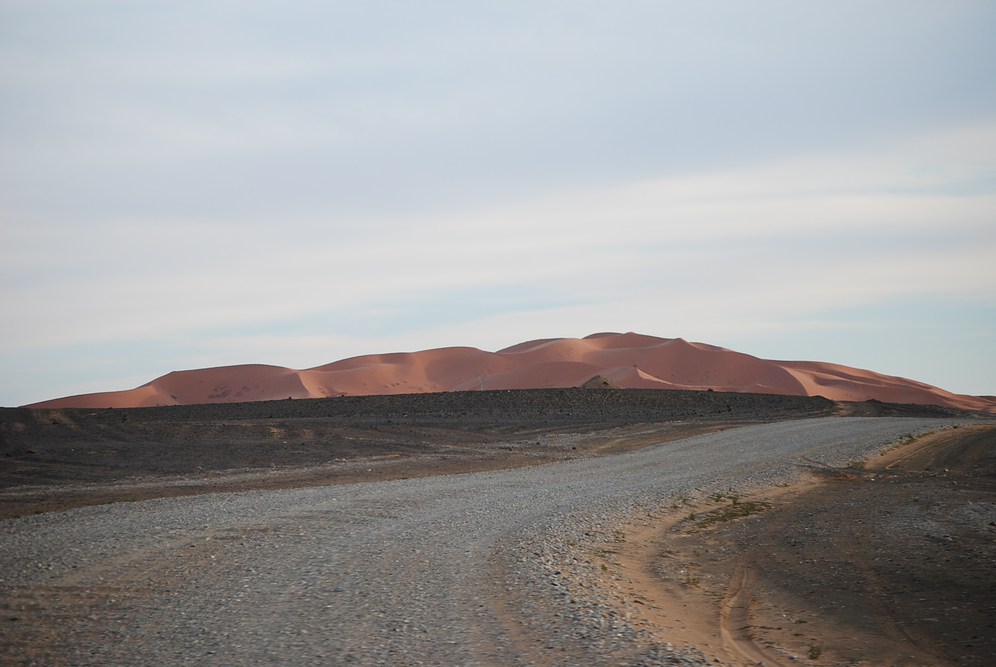 DSC_0321.JPG