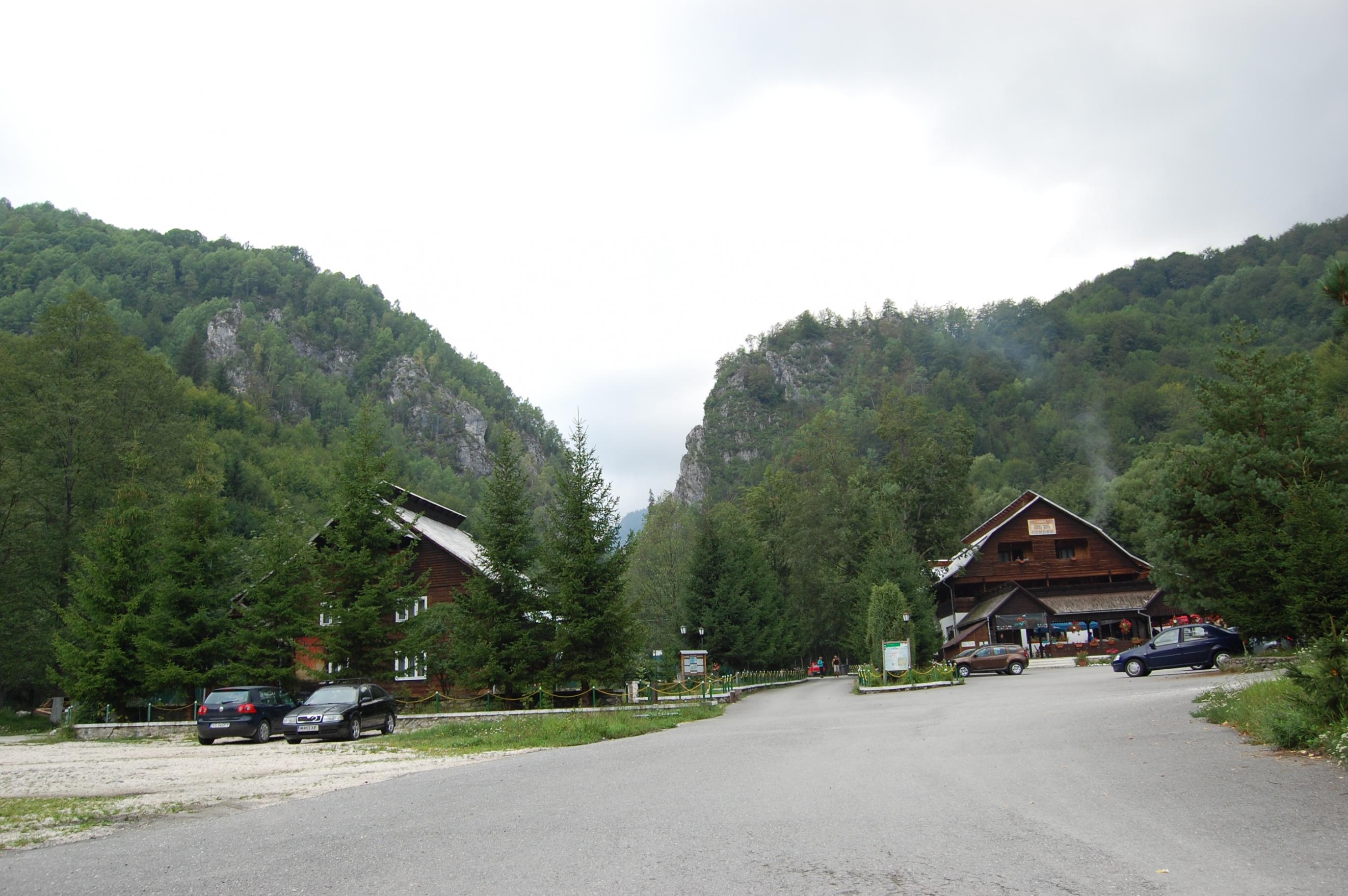 DSC_0328.jpg