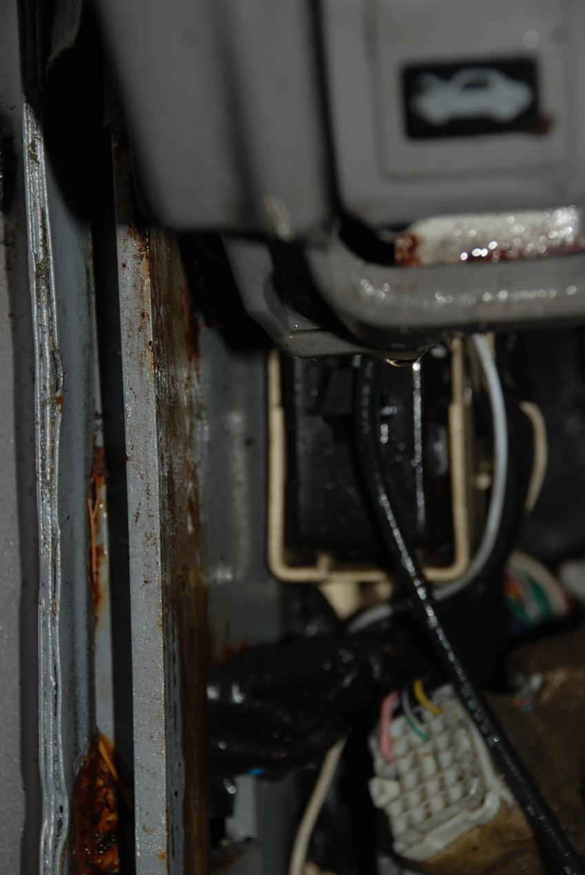 DSC_0402.jpg