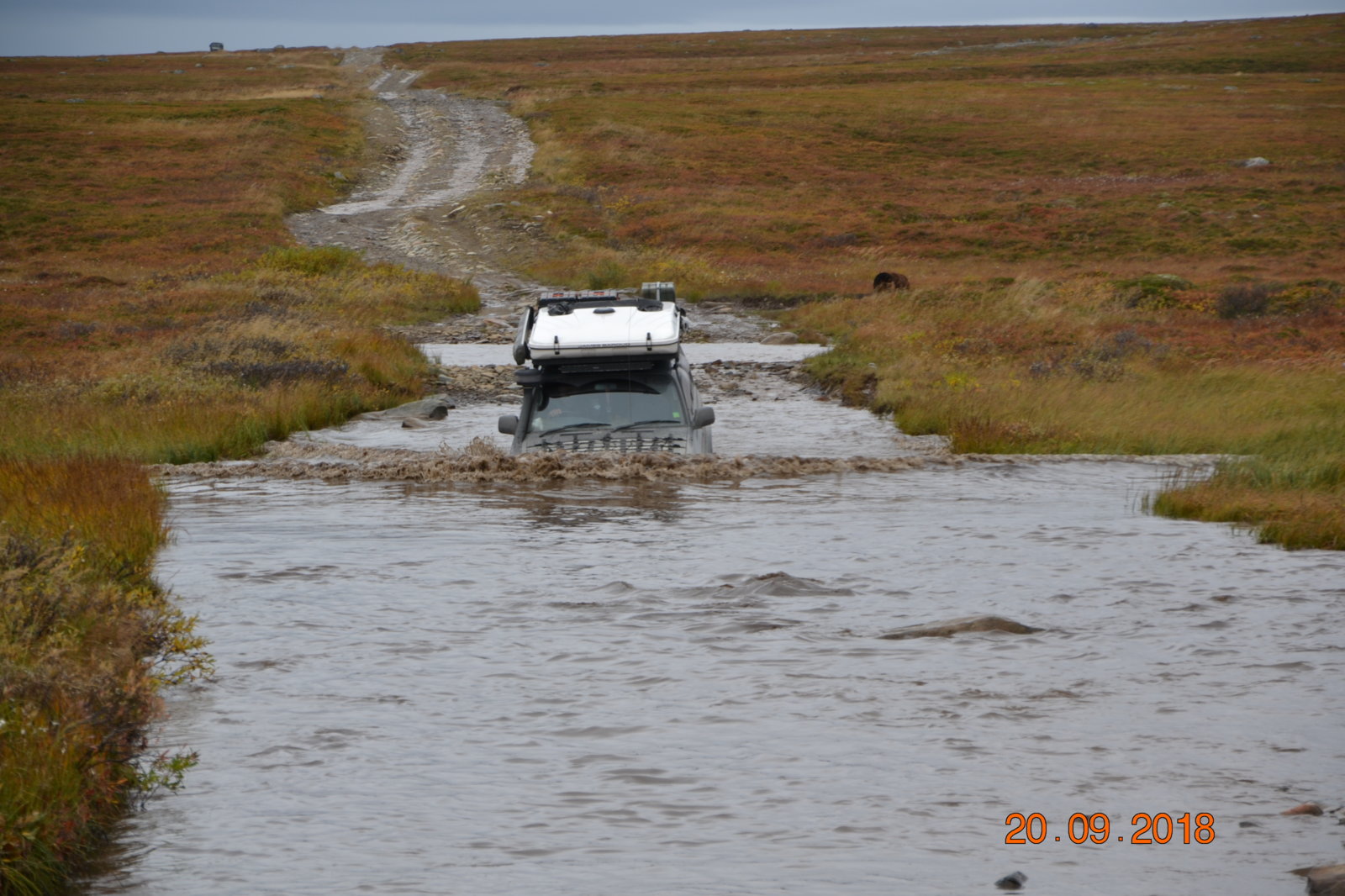 DSC_0418.JPG