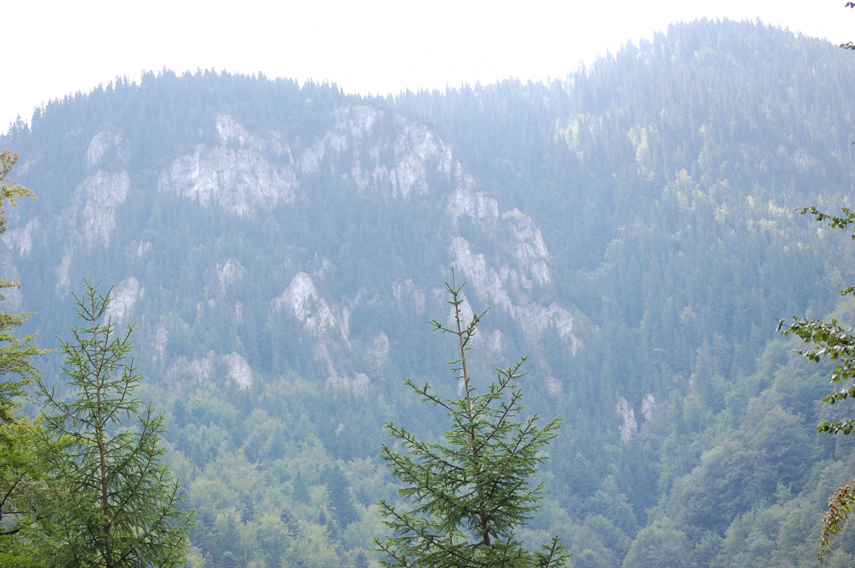 DSC_0453.jpg