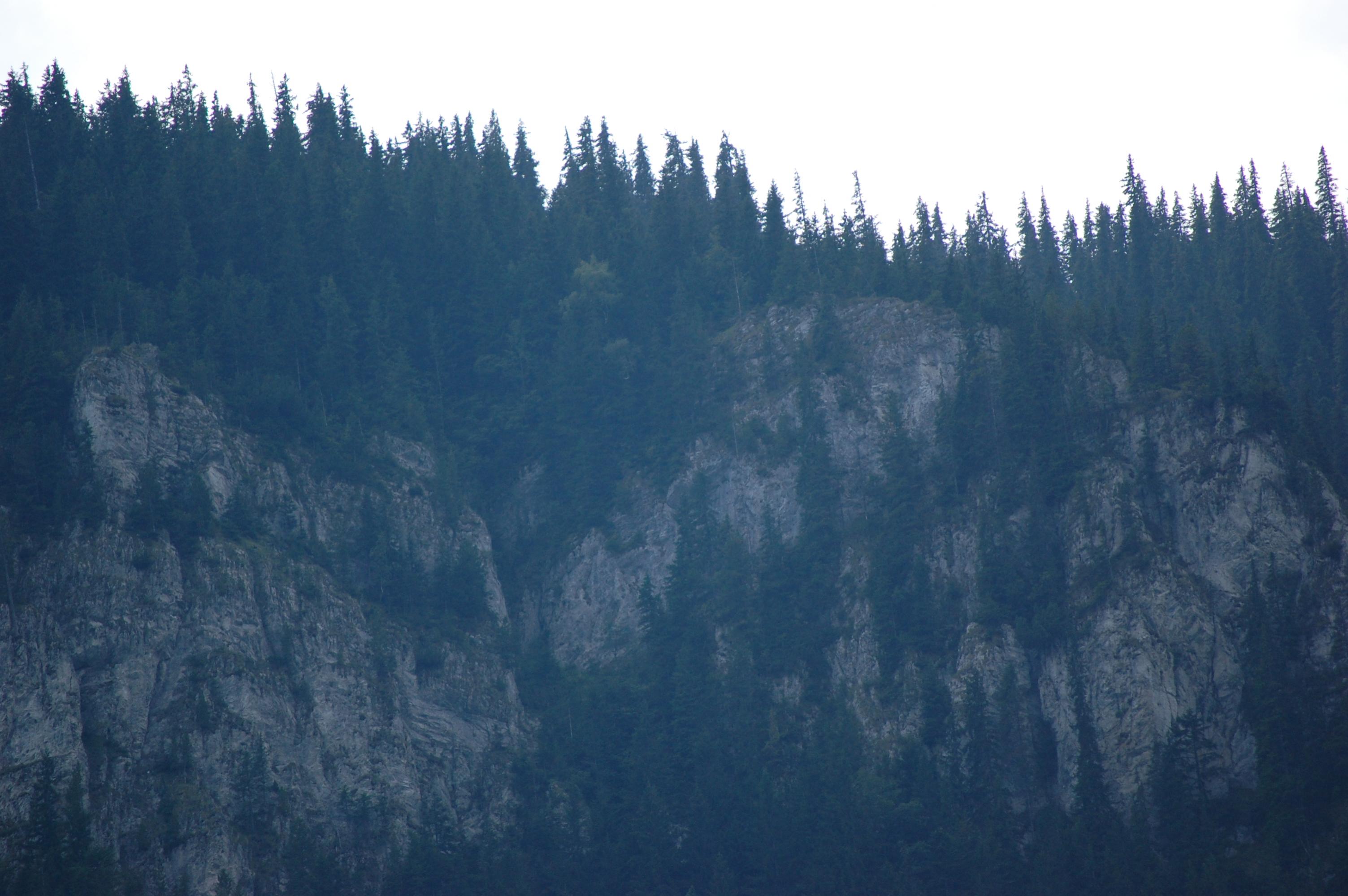 DSC_0455.jpg