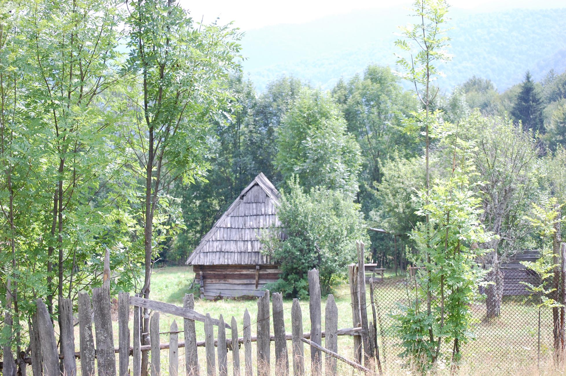 DSC_0462.jpg