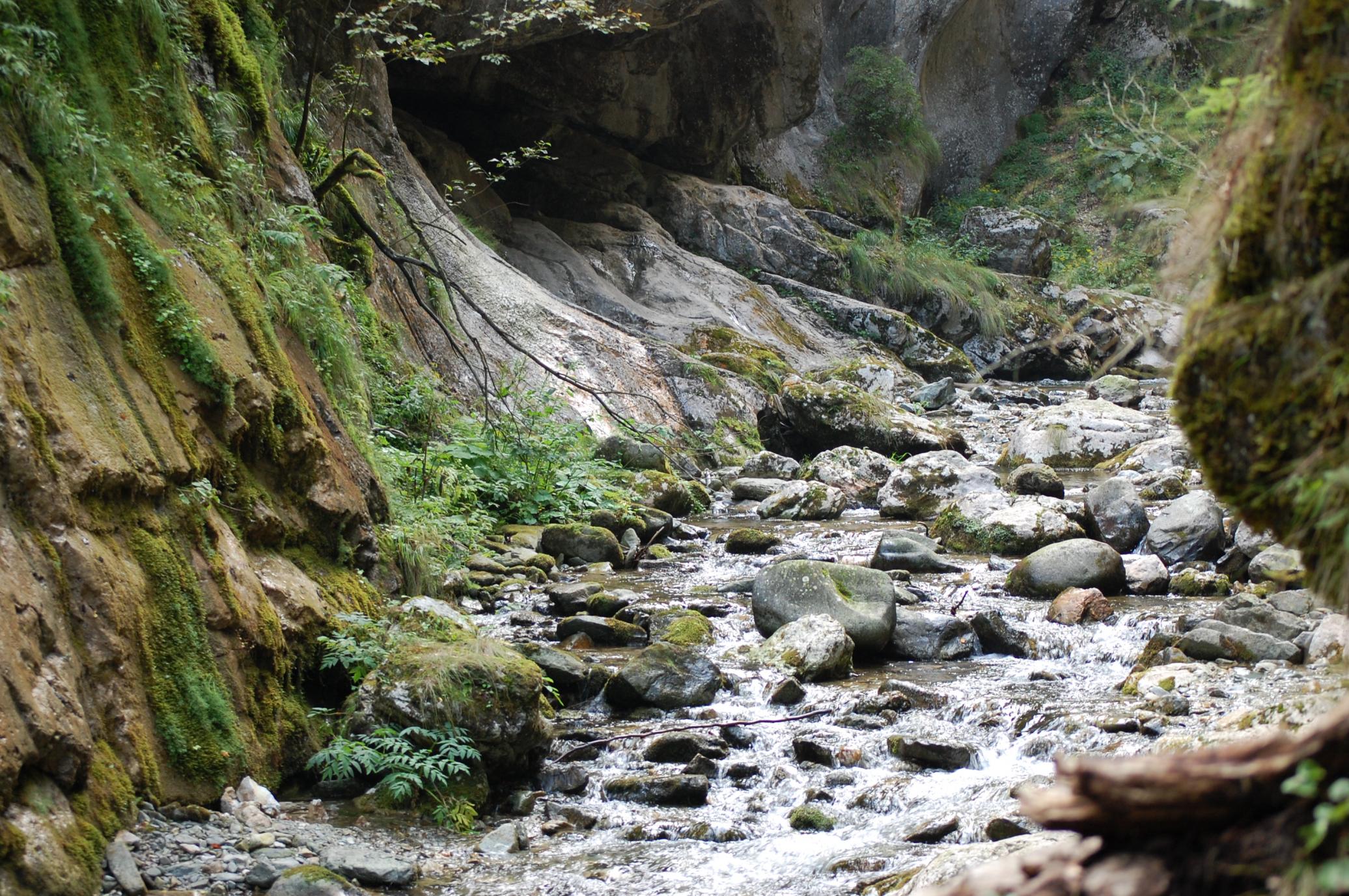 DSC_0466.jpg