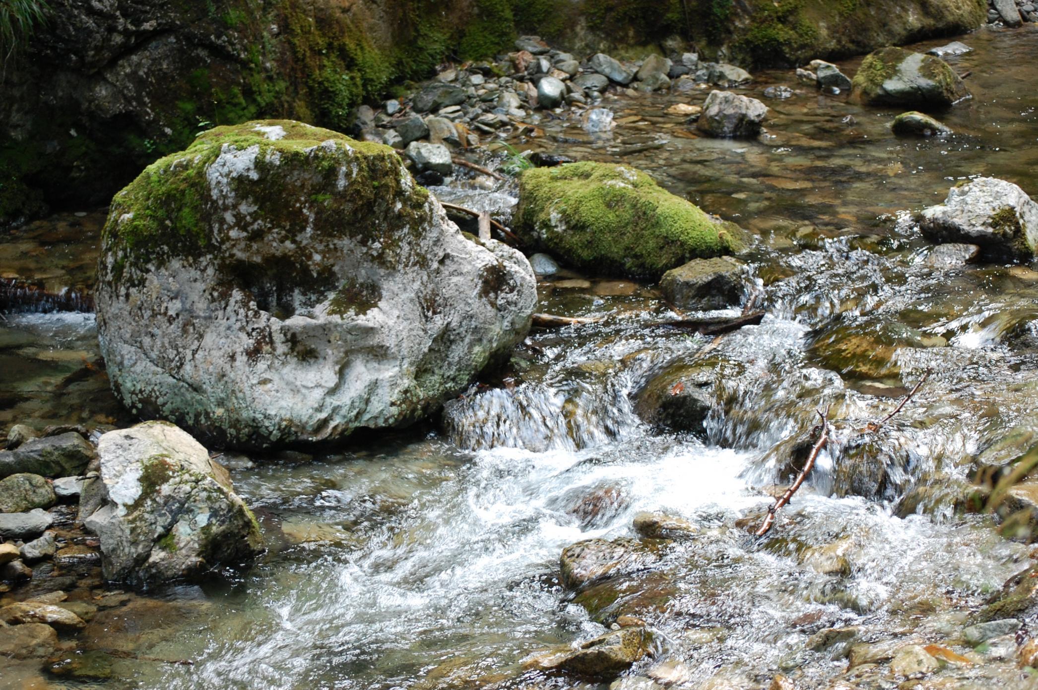 DSC_0467.jpg