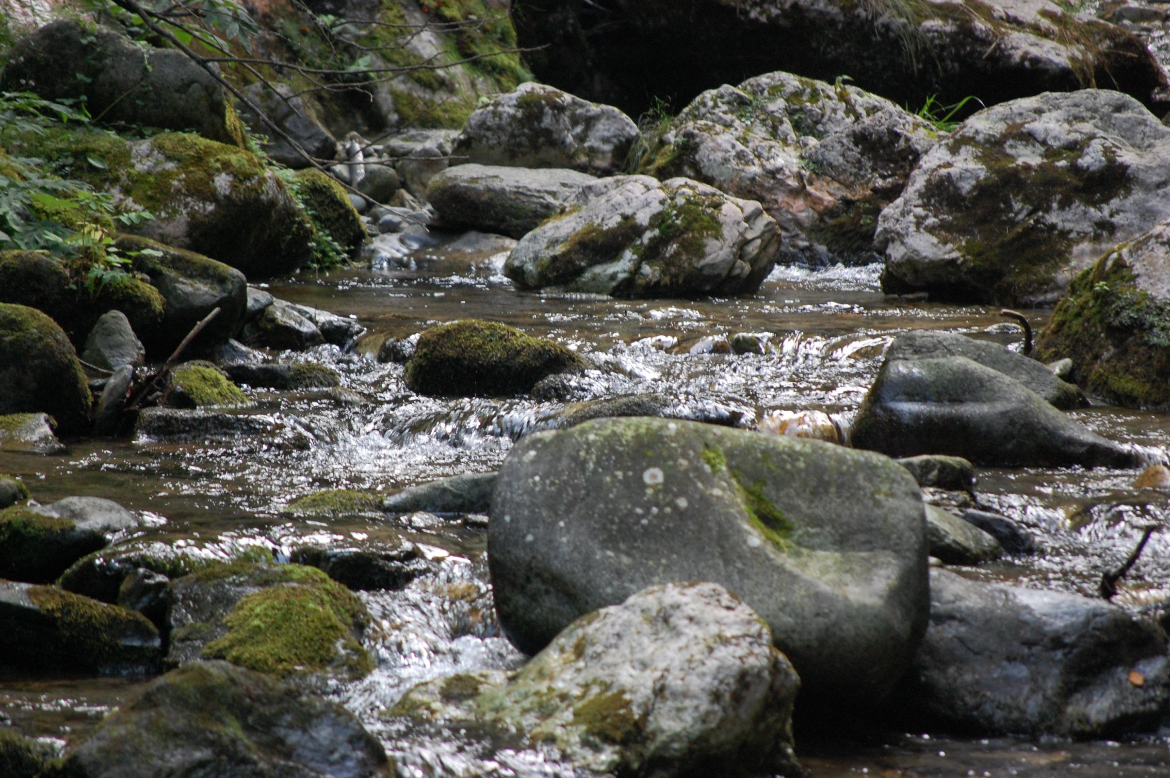 DSC_0468.jpg