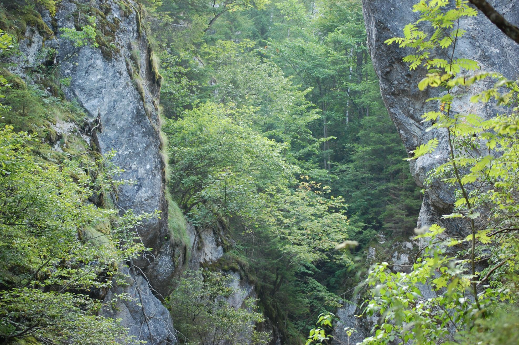 DSC_0473.jpg
