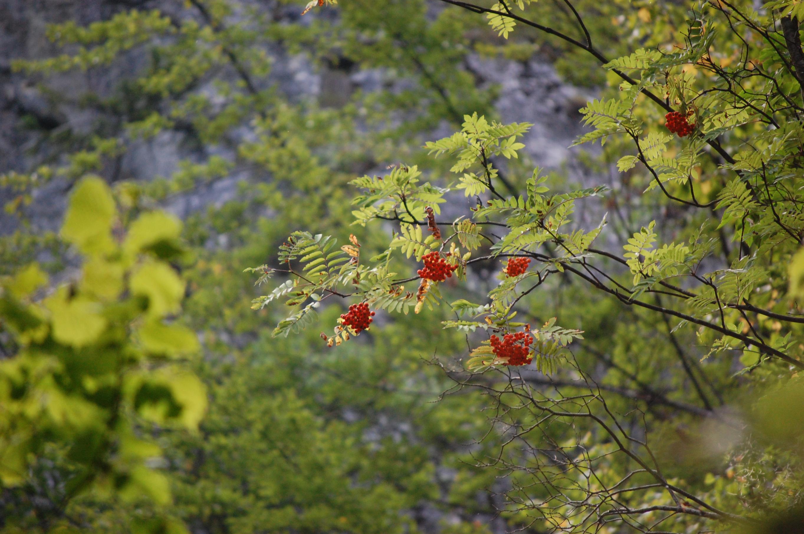 DSC_0475.jpg