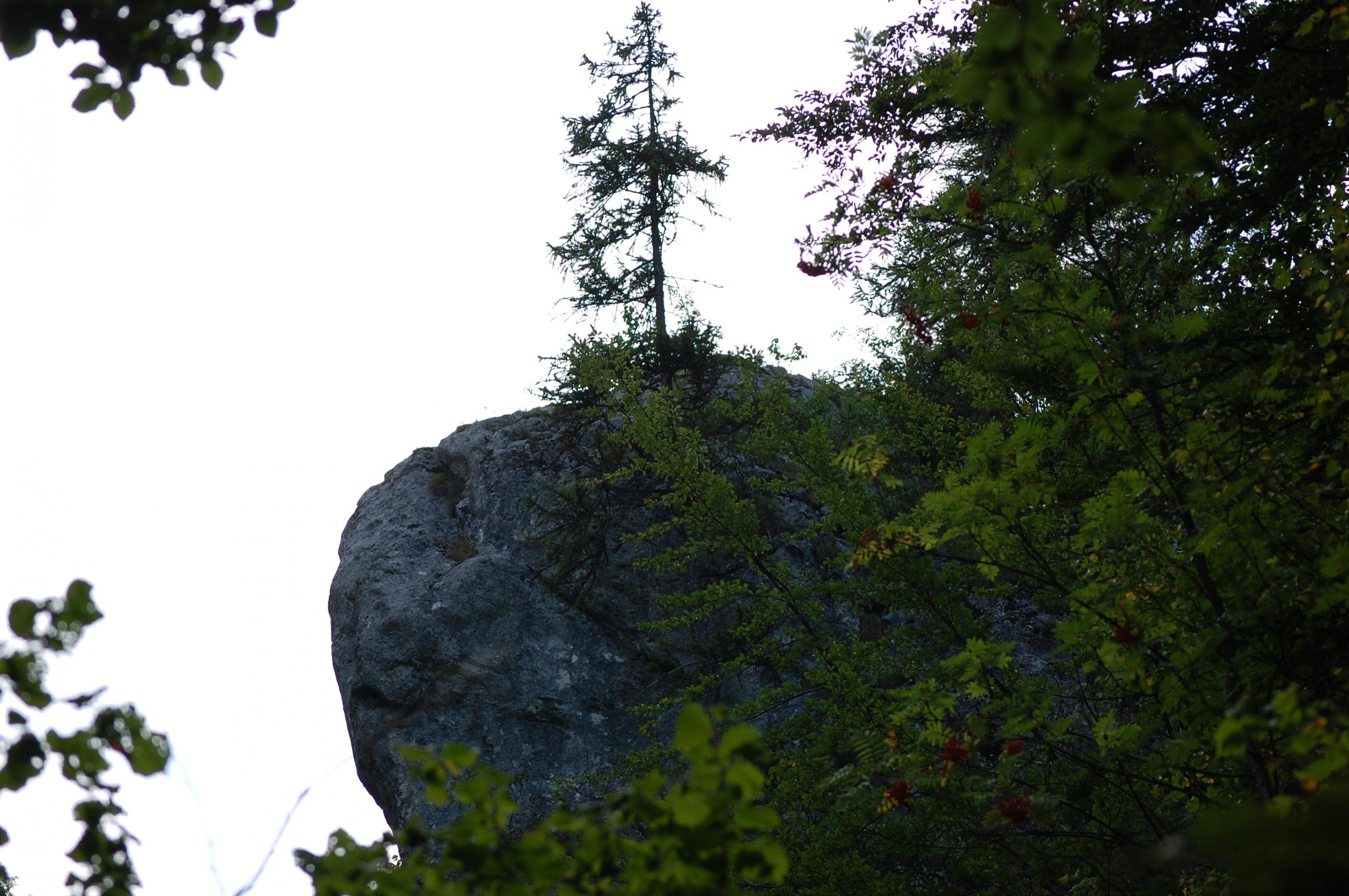DSC_0477.jpg