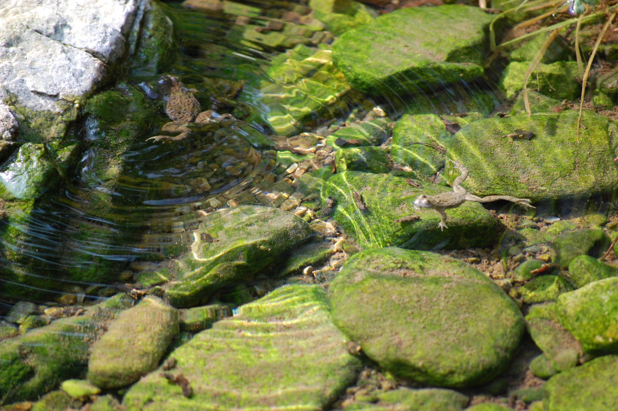 DSC_0496.jpg