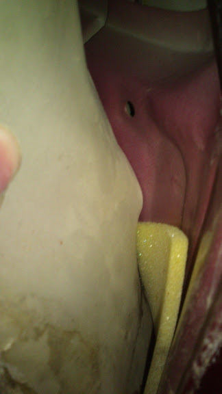 DSC_0501%255B1%255D.jpg
