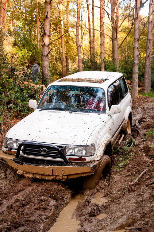 DSC_0524-10-1.jpg