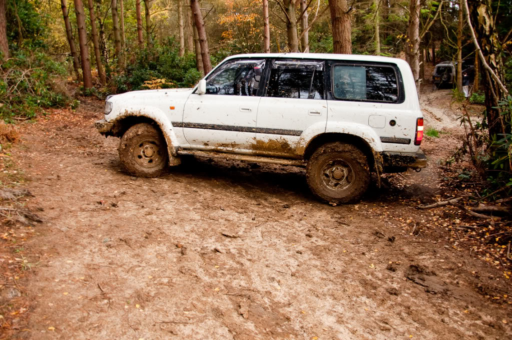 DSC_0541-13.jpg