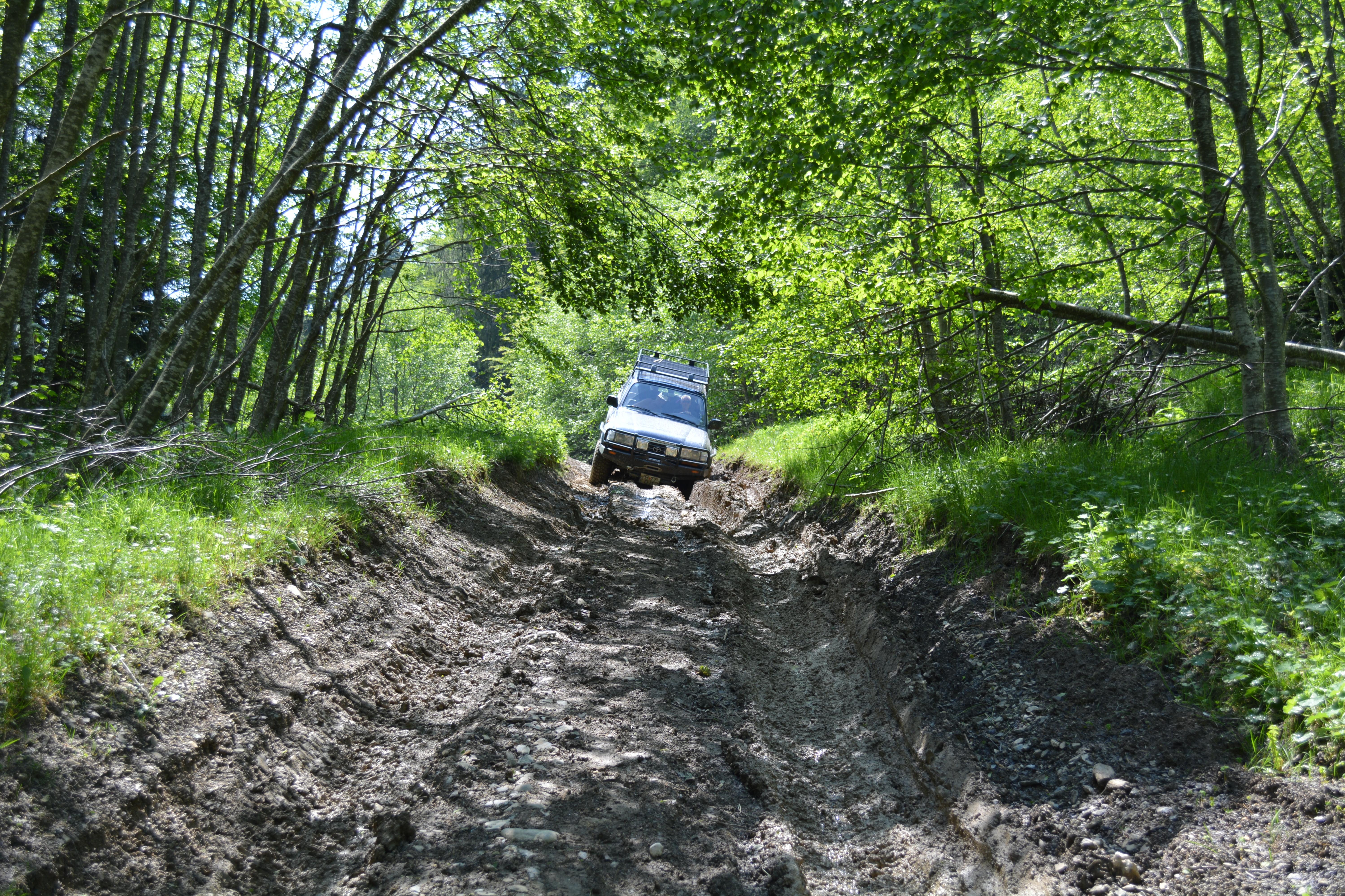 DSC_1358.jpg