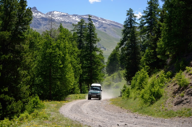 DSC_2138.JPG