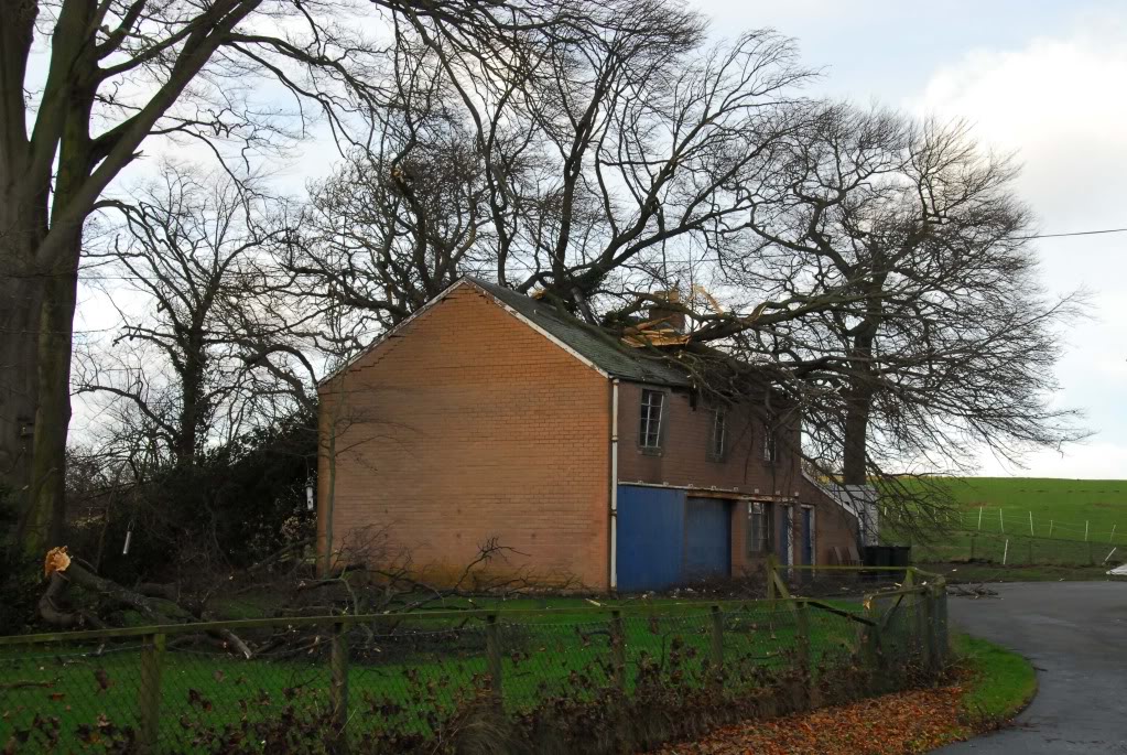 DSC_2673A.jpg