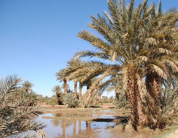 DSC_3033.JPG