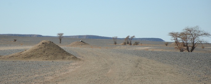 DSC_3400.JPG