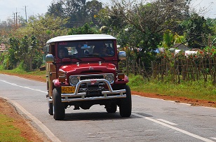 DSC_3445.JPG