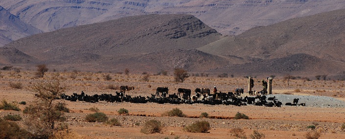 DSC_4138.JPG