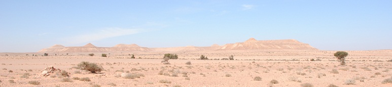 DSC_4263.JPG
