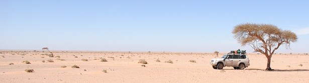 DSC_4289.JPG
