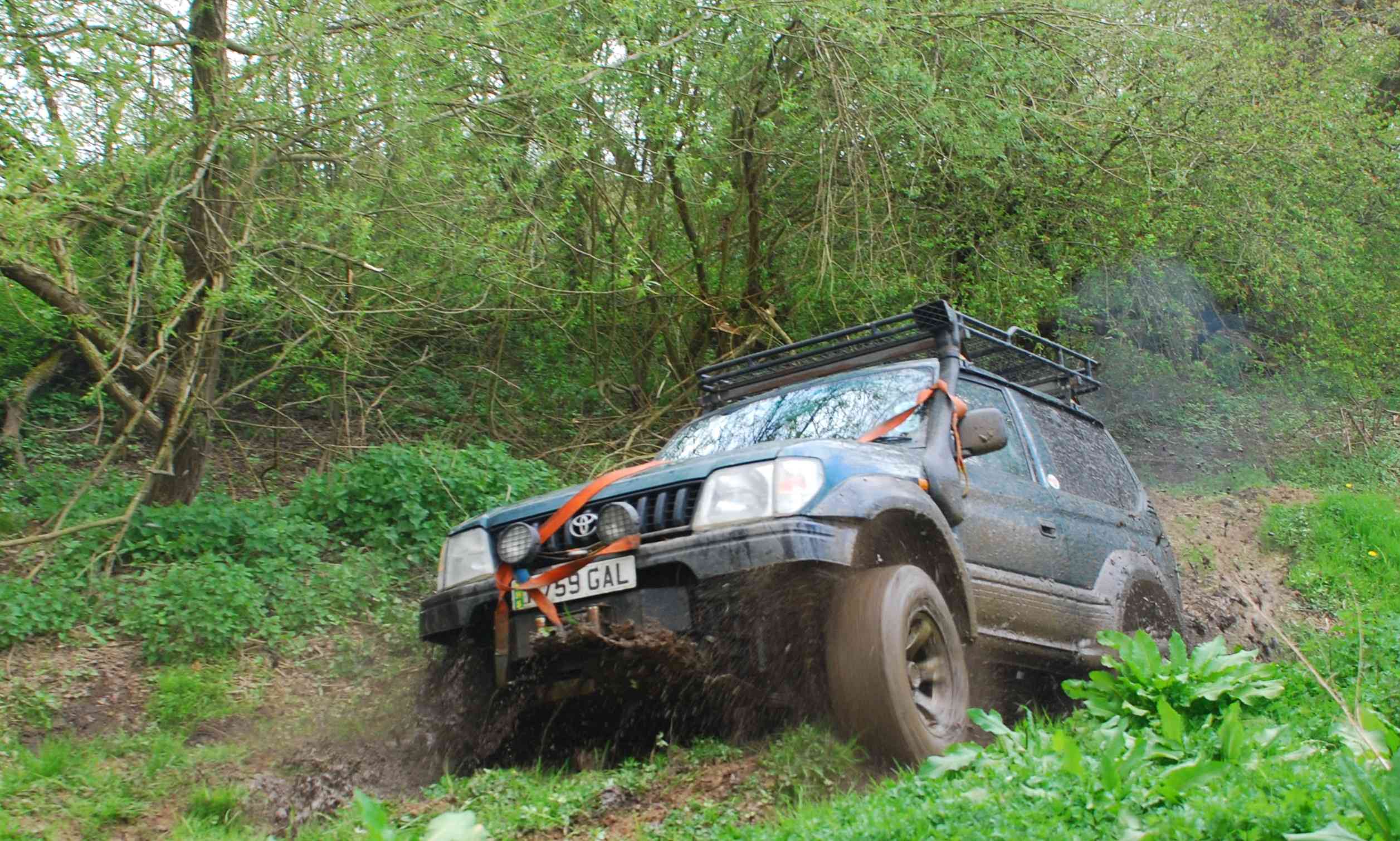 DSC_4345.JPG