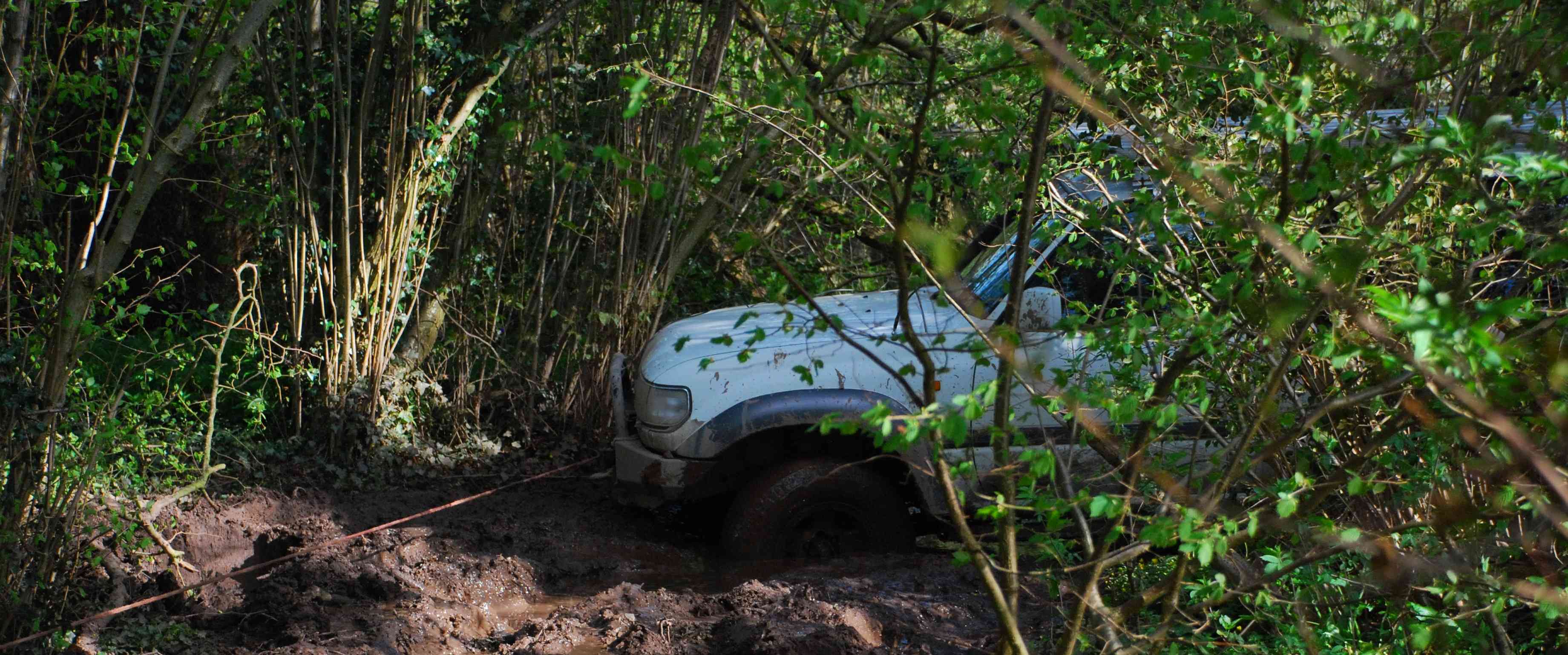 DSC_4441.JPG