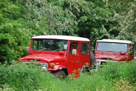 DSC_4507.jpg