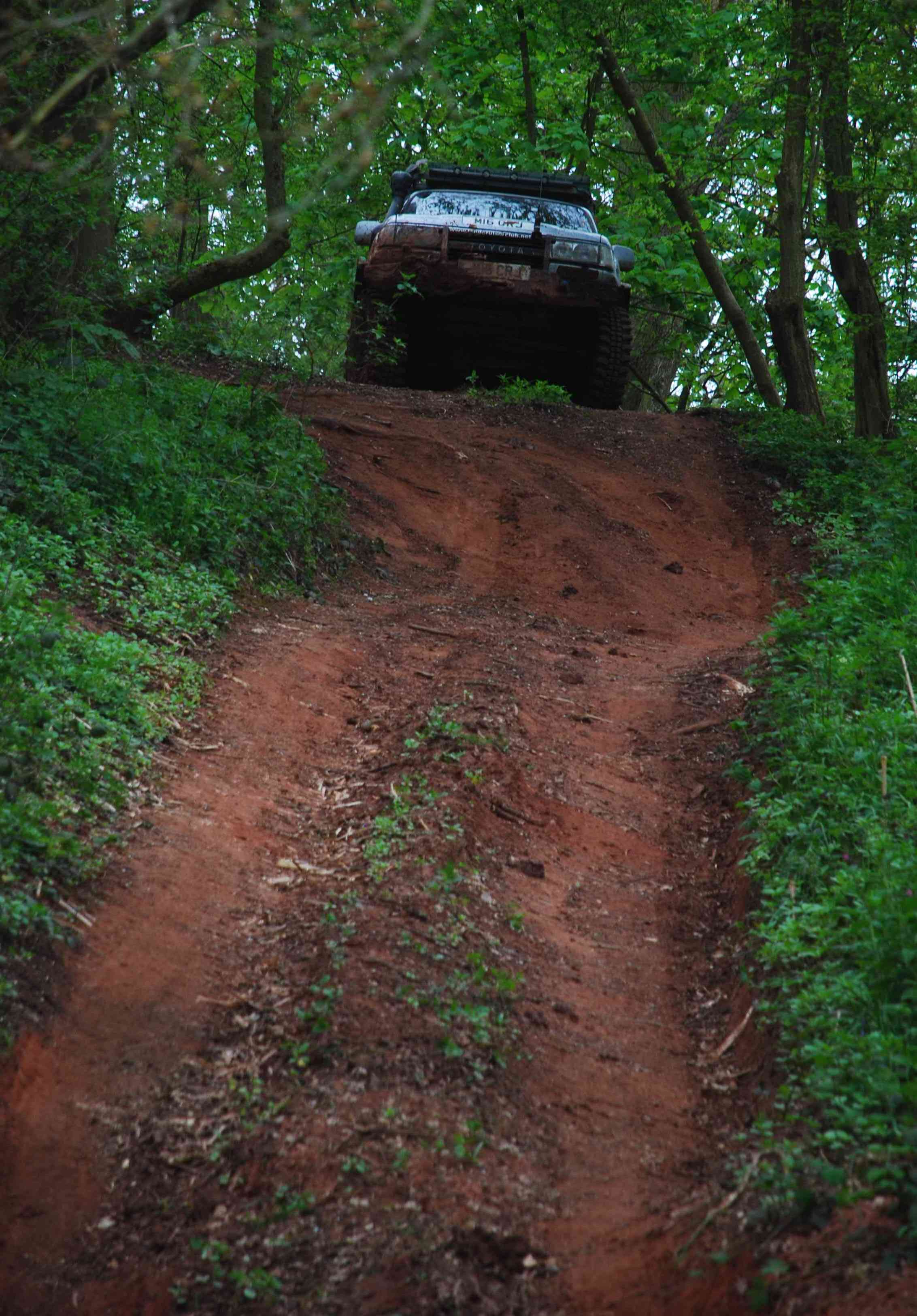 DSC_4529.JPG