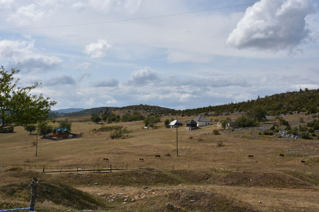 DSC_4645.jpg