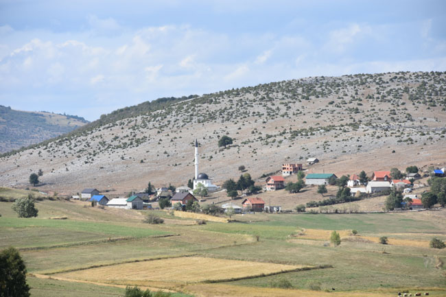DSC_4647.jpg