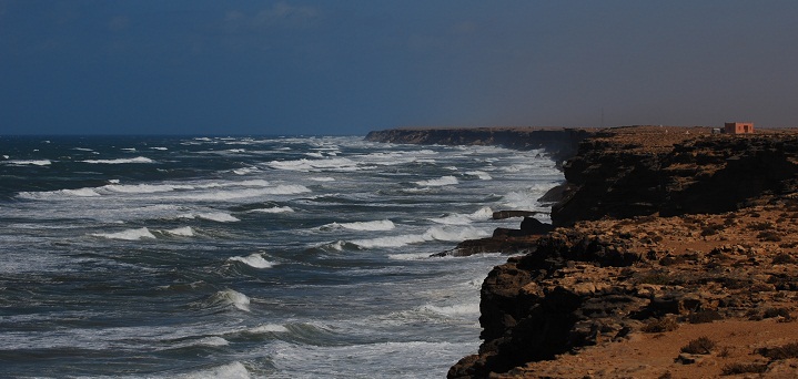 DSC_4668.JPG