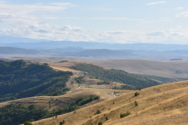 DSC_4692.jpg