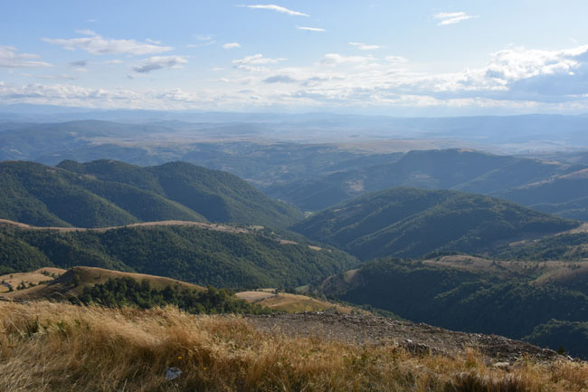 DSC_4753.jpg