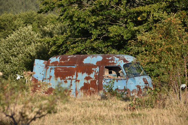 DSC_4762.jpg