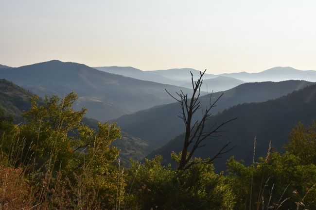 DSC_4782.jpg