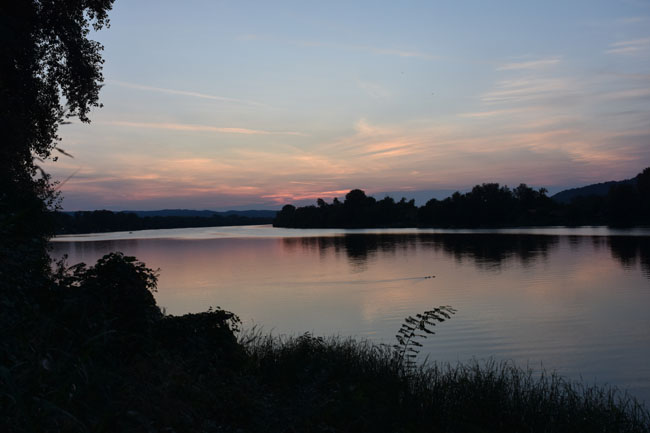 DSC_4874.jpg