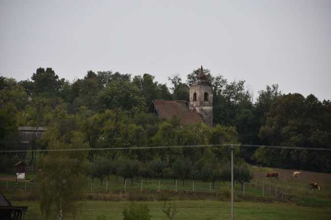 DSC_4924.jpg