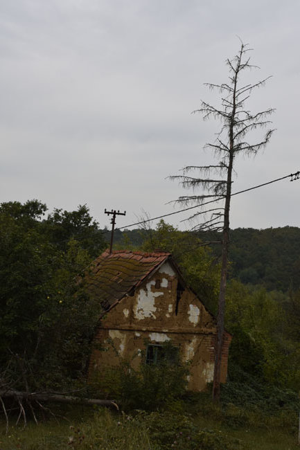 DSC_4927.jpg