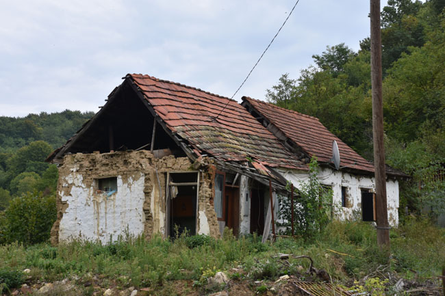 DSC_4952.jpg