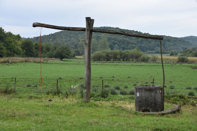 DSC_4974.jpg