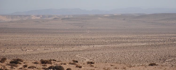 DSC_4987.JPG