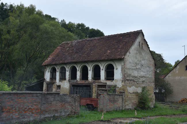DSC_5035.jpg