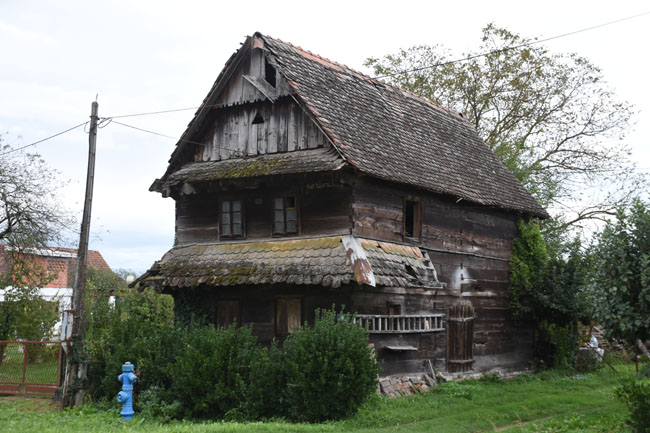 DSC_5120.jpg