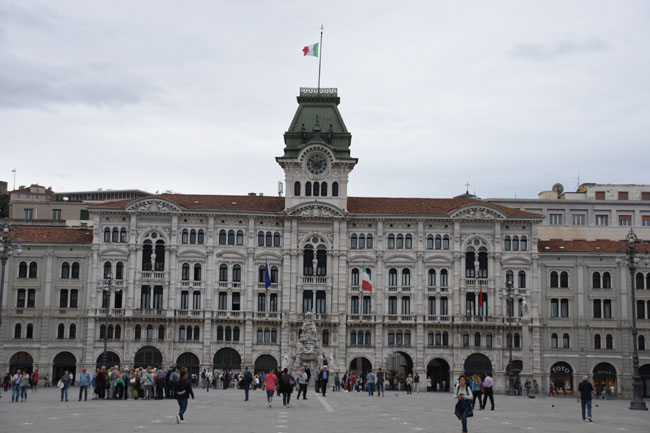 DSC_5323.jpg