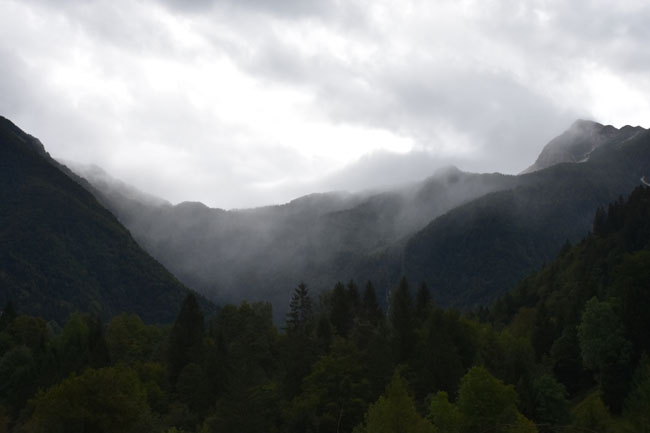 DSC_5442.jpg